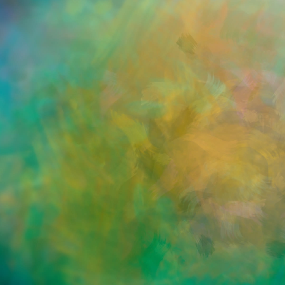 Eye Of The Beholder Social Graphic Giving Blank