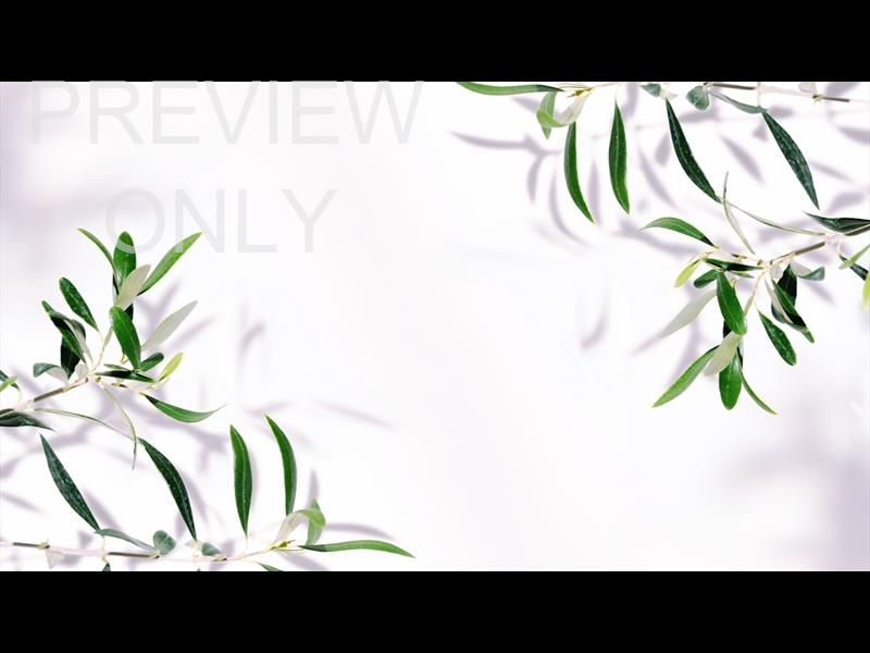 Fruit Of The Spirit 2 Still