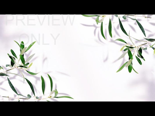 Fruit Of The Spirit 2 Still