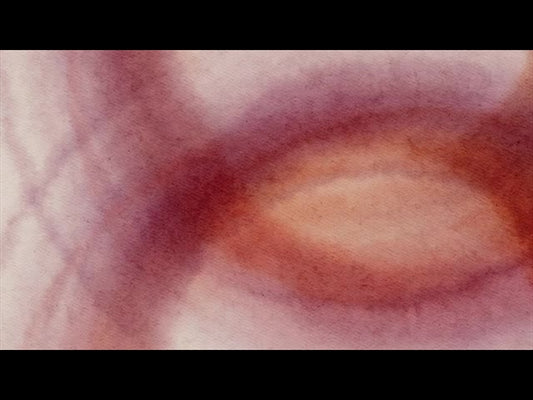 Spring Canvas Loop 04