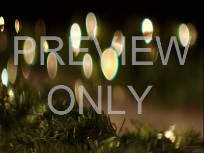 Garland Lights 2