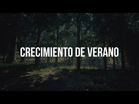 Crecimiento De Verano