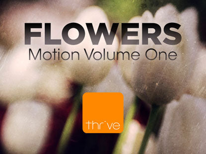 Flowers - Volume 1
