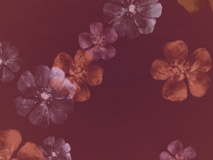 Floating Flowers Motion 5