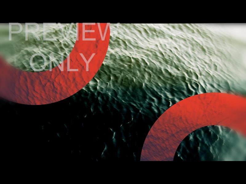 Water Shapes - Volume Two: Worship Still 3