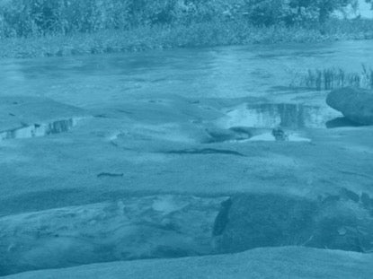 Natural Serenity Motion 1