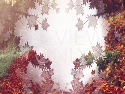 Crisp Morning 4 Still