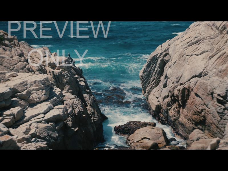Point Lobos 3 Still