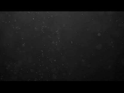 From The Ashes Teaching Motion 01
