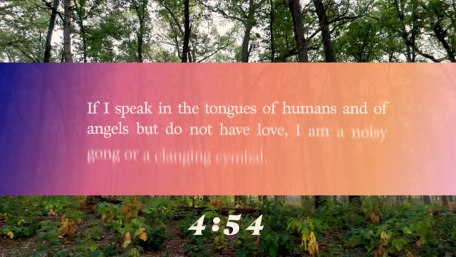 The Forest Scripture Countdown