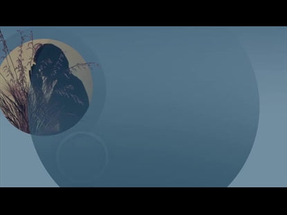Vision Worship Motion 01