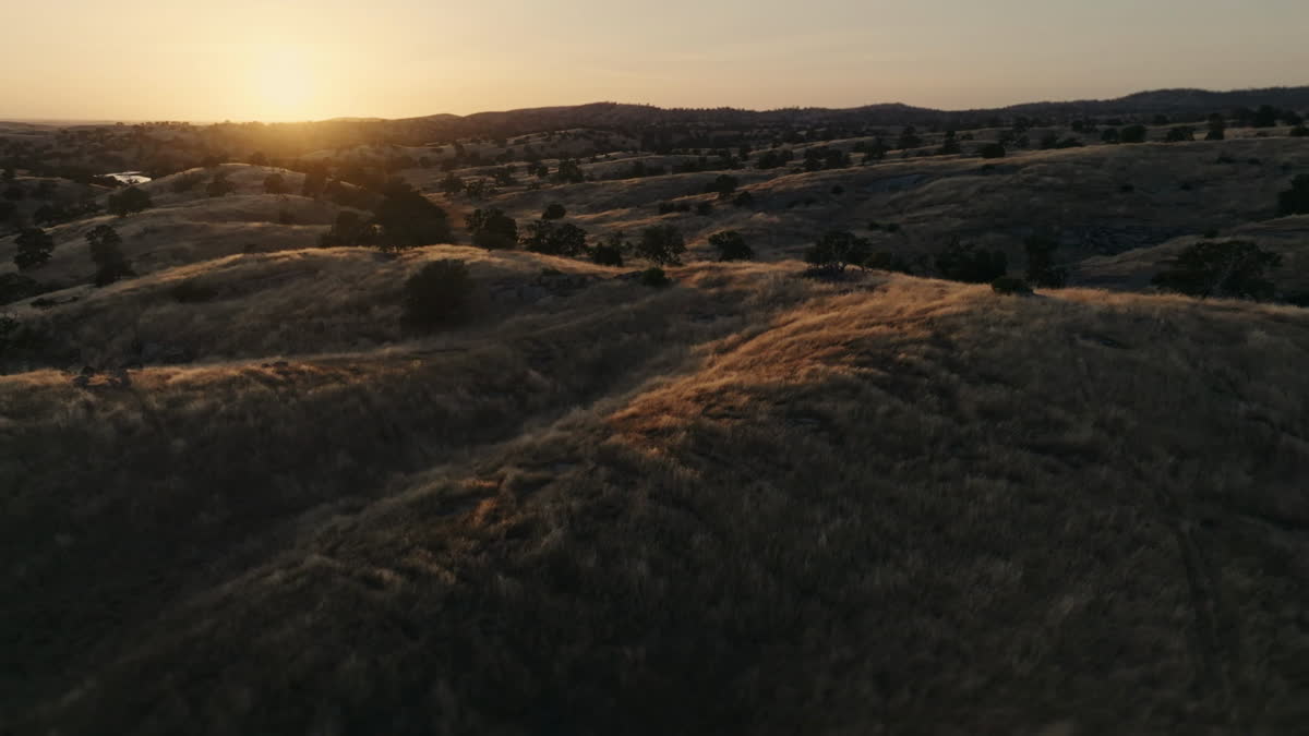 Golden Pastures Still 14
