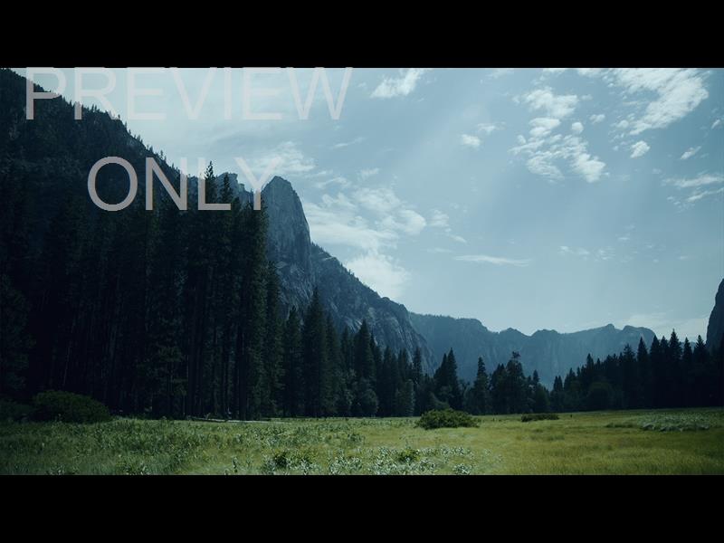 Yosemite Meadows Still - 11
