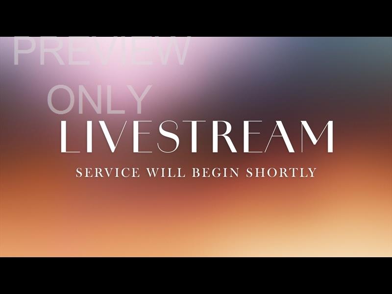 Early Light Livestream Still