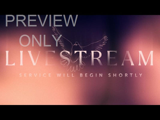 Soaring Livestream Still