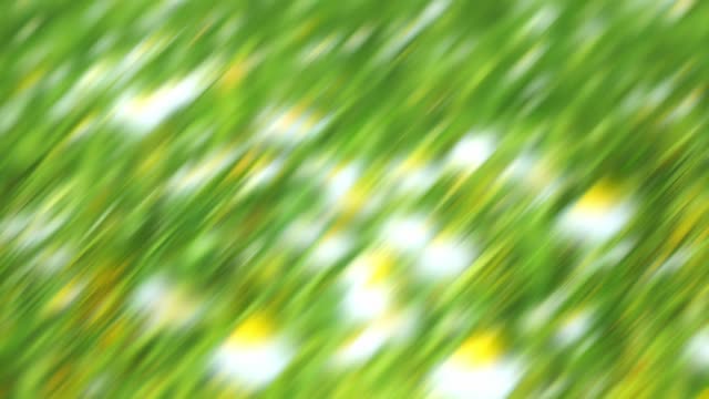 Springtime Bloom 7