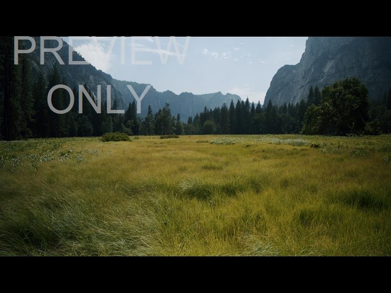Yosemite Meadows Still - 08