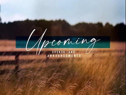 Amber Fields Upcoming