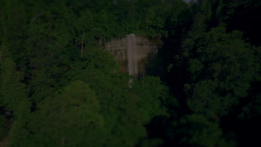 Nature'S Force 10 Darken Still