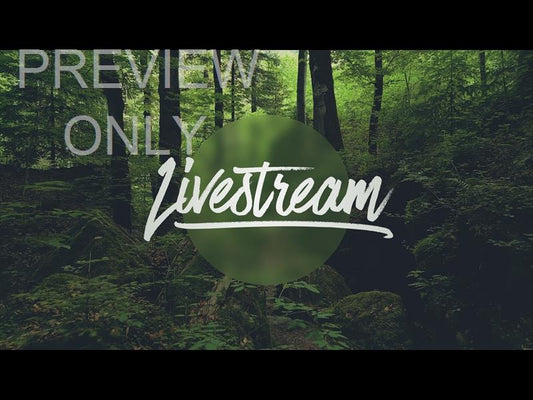 Deep Forest Livestream Still