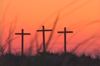 Easter Celebration 6