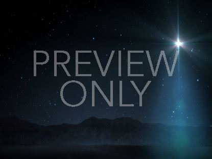 Starlight Nativity 13