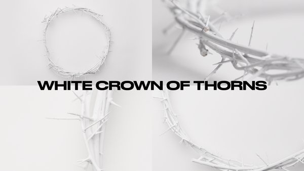 White Crown Of Thorns Collection