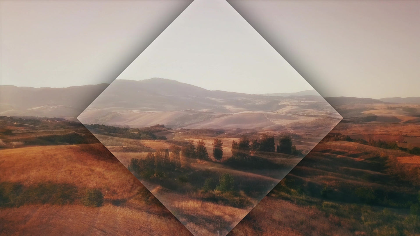 The Hills Fields Still