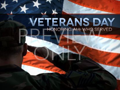 Veterans Day Soldier Flag