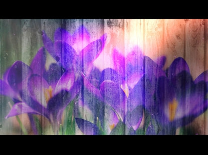 Floral Fusion 3