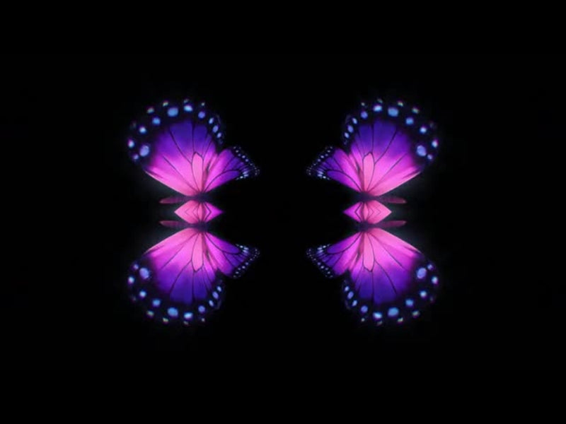 Butterflies 10