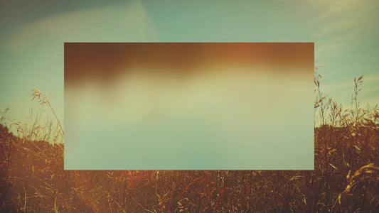 Summer Bright Verdant Alt