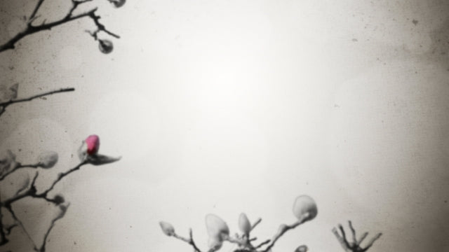 New Life Blank