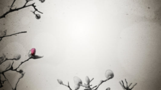 New Life Blank