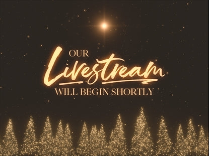 Christmas Gold Pineslivestream