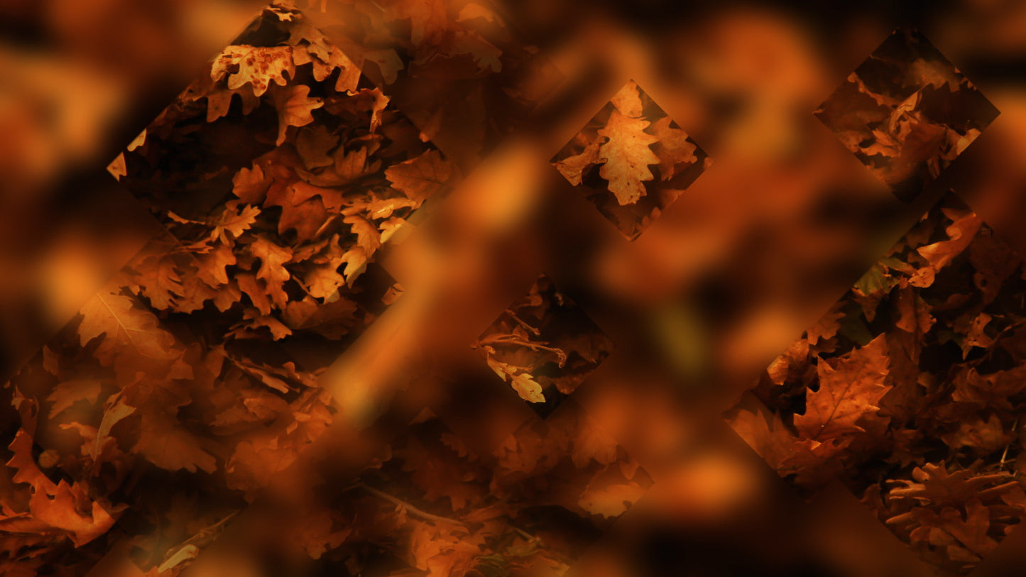 Autumn Journey 17 Still