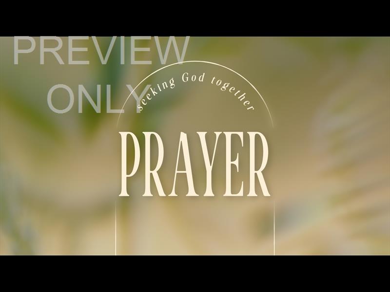 Forest Light Prayer Still