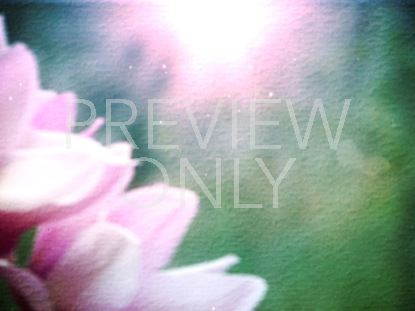 Watercolor Magnolia 02