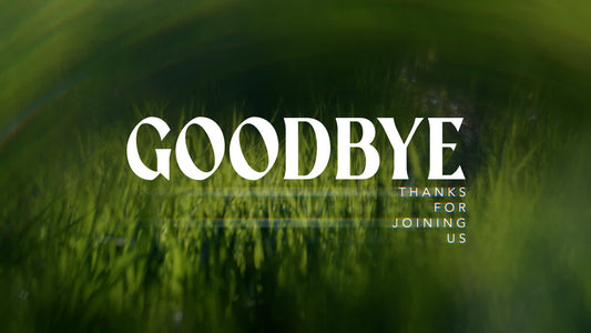 Like A Tree Still Goodbye