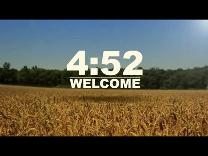 Wheat Field Countdown