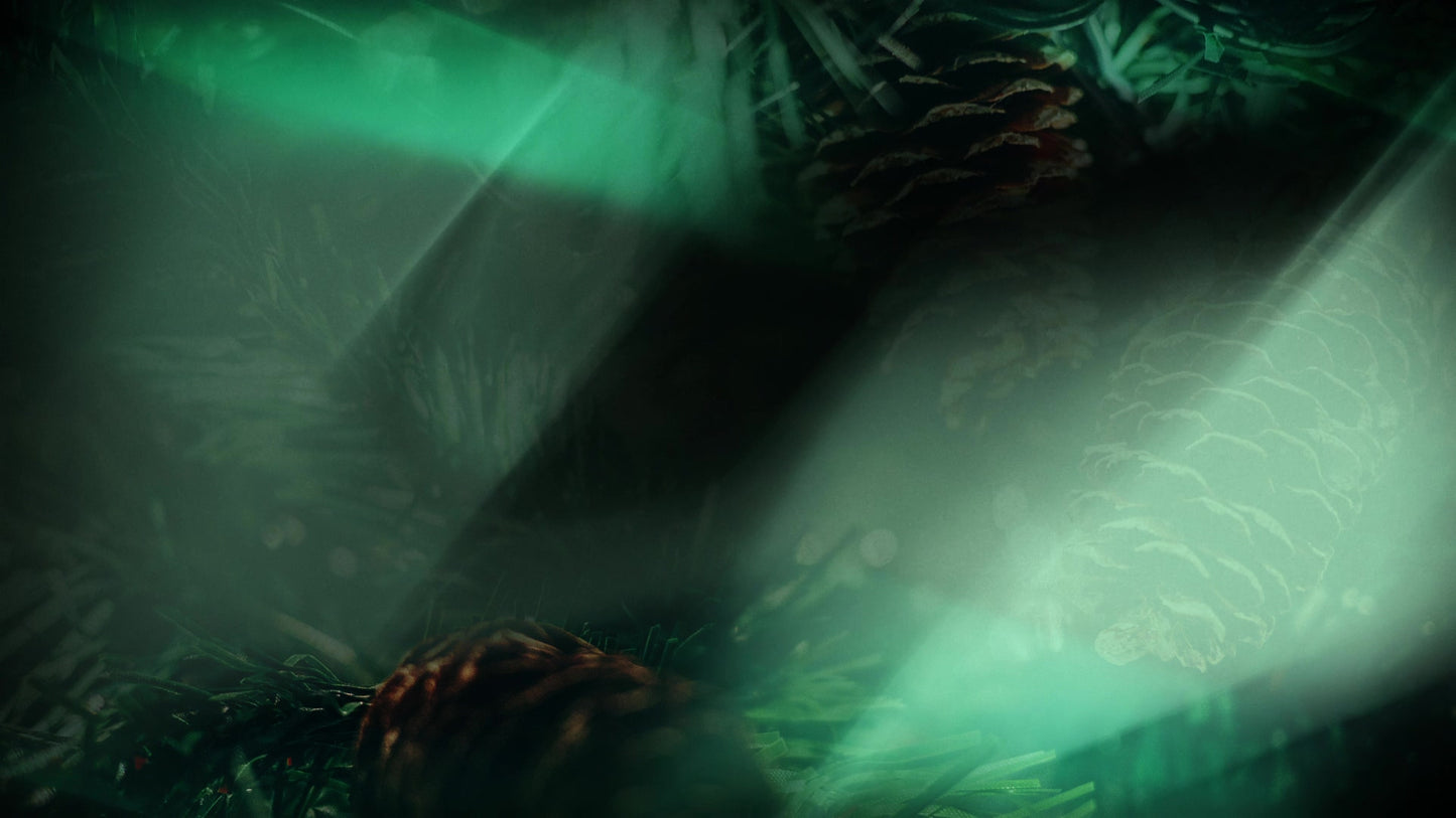 Christmas Light 11 Still