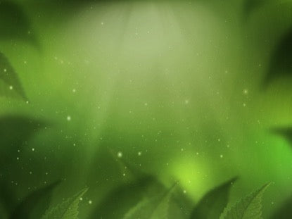 Fresh Outlook Motion 1