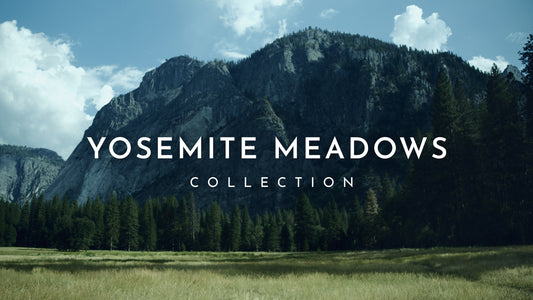 Yosemite Meadows