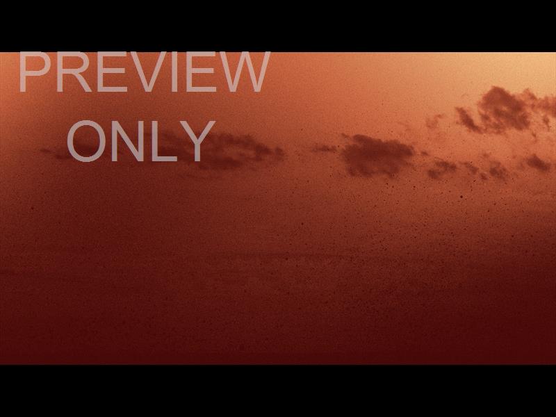 Wilderness Still 02