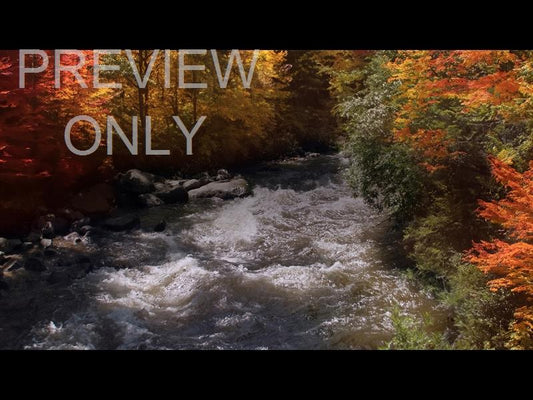 Northwest Fall 2 Still