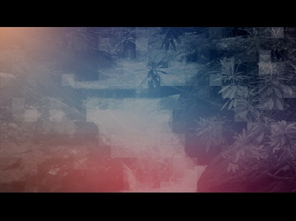 River Wild 5 Remix