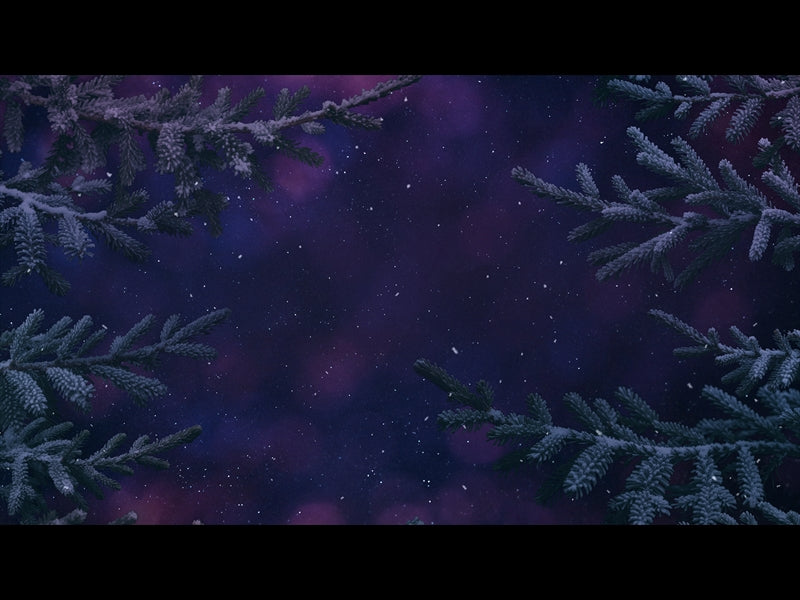 Christmas Wintertide 2