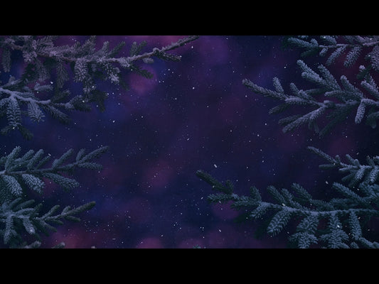 Christmas Wintertide 2