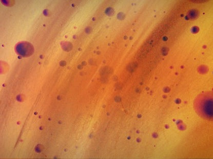 Colordrops Purple Yellow