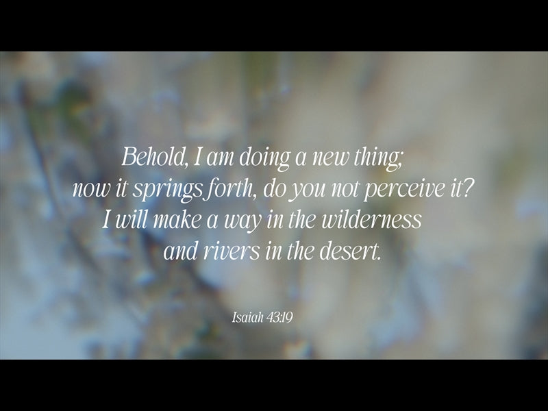 Daydream Scripture